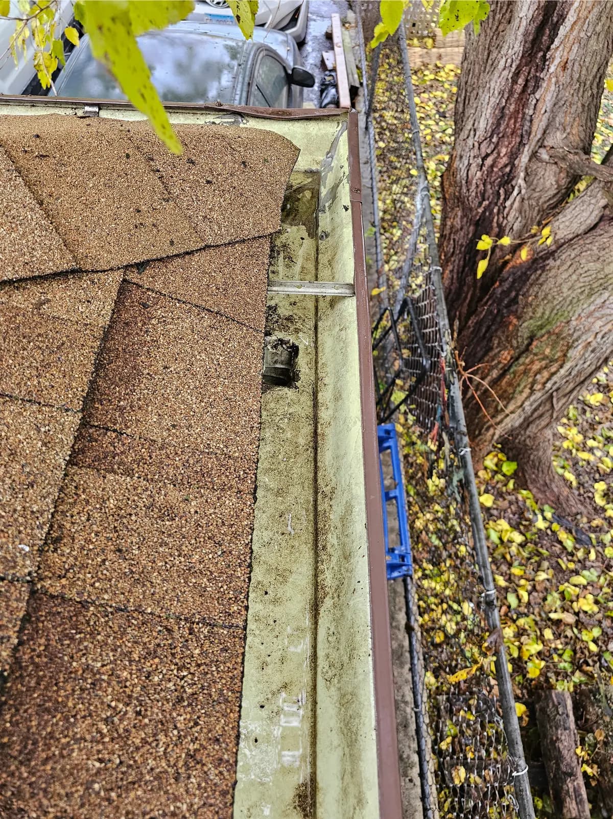 The same gutter emptied of leaves, with the downspout outlet visible and clear.